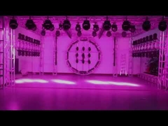 Lampu Bergerak Kepala Cuci LED Zoom Bee Eye RGBW 4 In 1