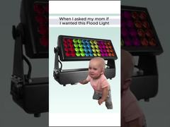 Jadi saya bertanya pada ibu saya apakah saya boleh membeli lampu sorot...