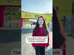 Kasus Proyek Shunde Bruce Lee