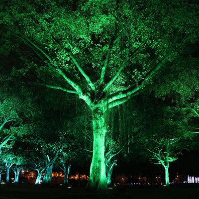 IP65 6W Aluminium Luar RuangIn Waterproof Led Spike Tree Flood Light menyesuaikan Spotlight Lampu Lanskap Taman