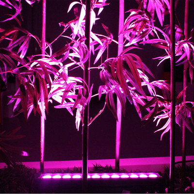 12X3W Outdoor LED Wall Washer IP65 Waterproof DMX RGB LED Linear Washer Light Untuk Arsitektur Bangunan Fasad Pencahayaan
