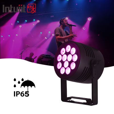 Lampu LED Luar Ruangan IP65 12x20w RGBWA-UV 6in1 Acara DJ Wash DMX 512 Tahan Air LED Par Light