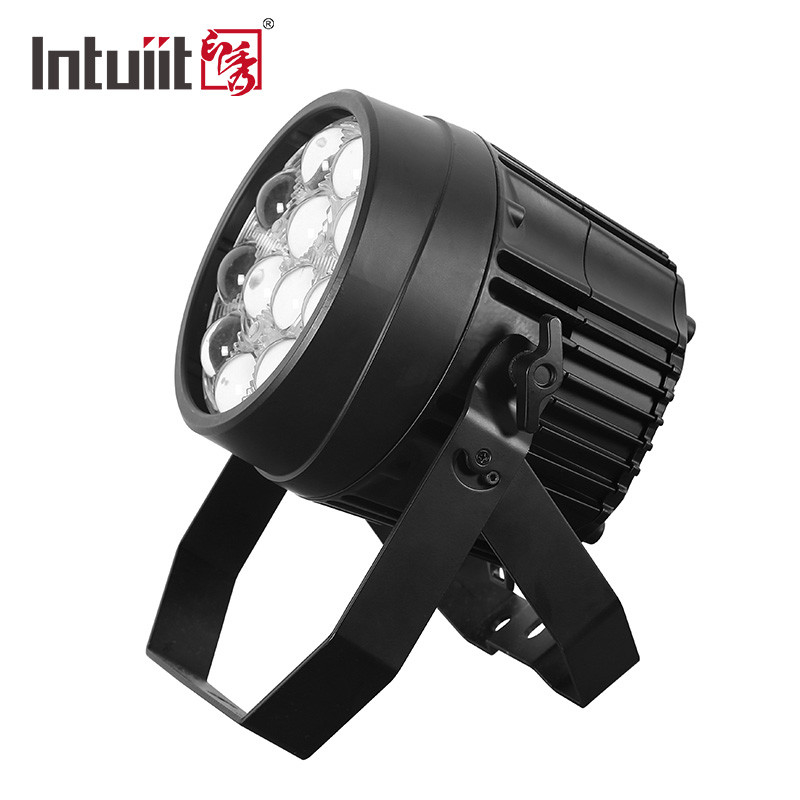 Indoor 12x10w Rgbw LED Par Can Stage Light Ip65 Dj Led Zoom Par Light 5 - 60 Derajat