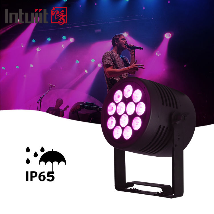Lampu LED Luar Ruangan IP65 12x20w RGBWA-UV 6in1 Acara DJ Wash DMX 512 Tahan Air LED Par Light