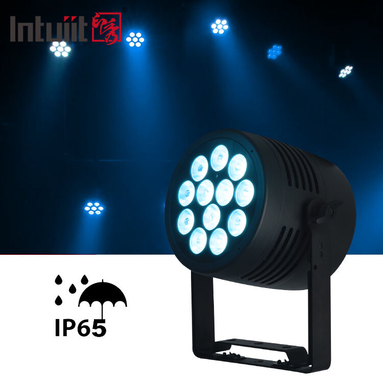 Lampu Par LED 12x20W RGBWA-UV 6 in 1 Flat Par Panggung LED untuk Pesta Pernikahan Disko Pertunjukan Bar Acara Tarian