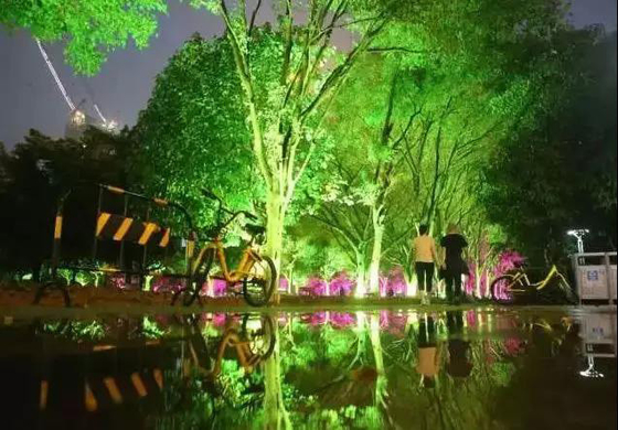 DMX512 RGBW 36W Pohon LED Lampu Banjir LED Lampu Kebun Untuk Proyeksi Lanskap