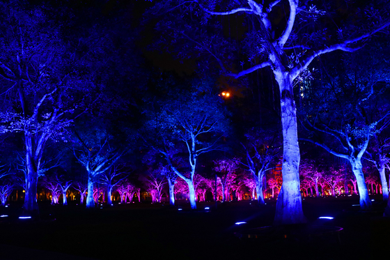 36w Warna Luar Ruangan Rgb Led Lampu Banjir Pohon Taman Untuk Proyeksi Lanskap